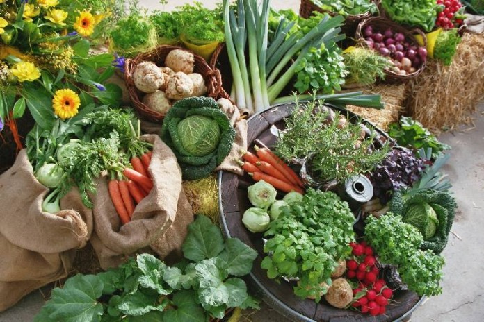Ein bunter Strauß an frischem Gemüse aus heimischem Anbau ist eines von unzähligen Produkten, über deren Herstellung sich Verbraucherinnen und Verbraucher im Rahmen der Aktion „Gläserne Produktion“ vor Ort informieren können.