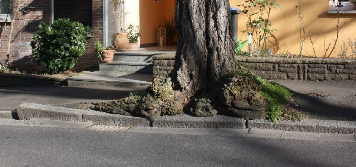Zustand der Straße bzw. der Bäume und Gehwege