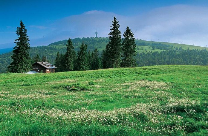 Blick auf den Feldberg.