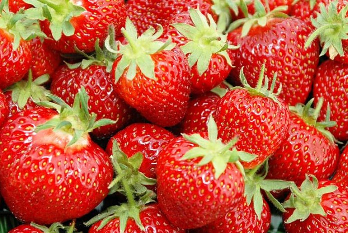 KKH: Die süßen Beeren sind vitaminreich und kalorienarm