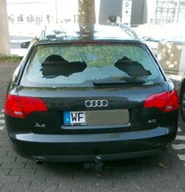 Wer war eventuell Zeuge, oder kann Angaben zu den Tätern machen?