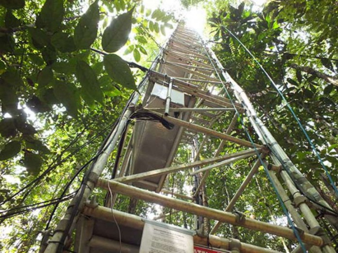 Die Max-Planck-Gesellschaft und das Natinonale Institut für Amazonasforschung INPA legen das Fundament für ATTO - das deutsch-brasilianische Amazonian Tall Tower Observatory