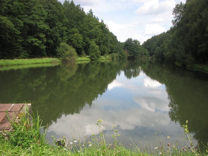 In diesem Fischweiher im Bereich Eselsfürth wurde die Transportbox mit der toten Katze gefunden.