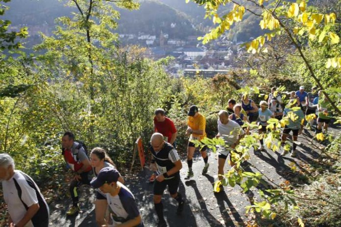 Die sportlichen Herausforderungen des GELITA Trail Marathon Heidelberg im Team meistern. (Foto: www.rhein-neckar-picture.de)