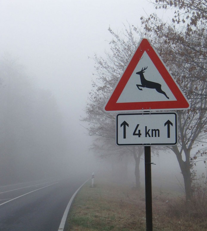 Wo das Warnzeichen „Wildwechsel“ steht, sollten Autofahrer besonders vorsichtig fahren, denn Wildtiere benutzen bevorzugt vertraute Wege.