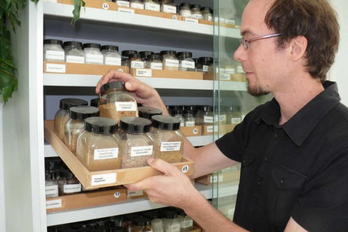 Dr. Benjamin Pickel, neuer Referatsleiter bei der LUFA Speyer