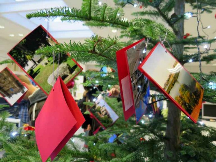 Der Baum steht im Bürgerbüro in der Hindenburgstraße 9a.
