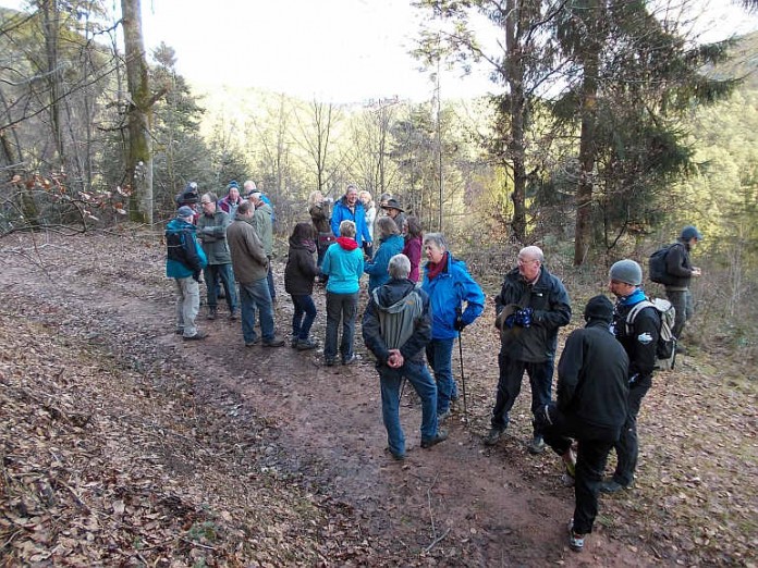 Michaelsberg, Römerbrunnen, Dreibrunnental, Hasseldell und Goldbrunnen waren die Stationen - danach wurde bei der Wolfschluchthütte eingekehrt