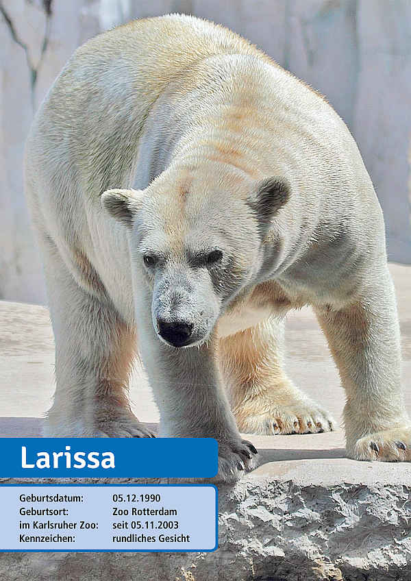 Auf den neuen Tiertafeln erfahren Zoo-Besucher Näheres über das zu abgebildete Tier