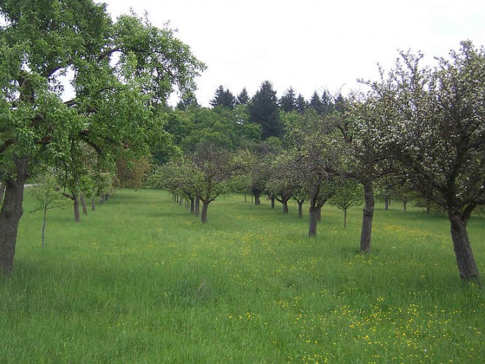 Die Veranstaltung findet statt am 06.02.2015 um 17 Uhr im Landwirtschaftsamt Bruchsal