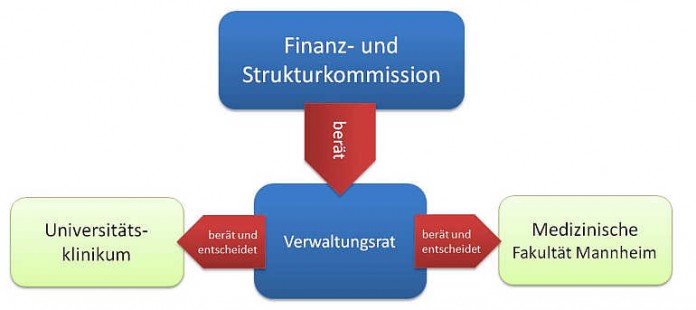 Schematische Darstellung der neuen Leitungsstruktur