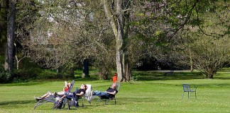 Der Luisenpark (Foto: Stadtpark Mannheim)