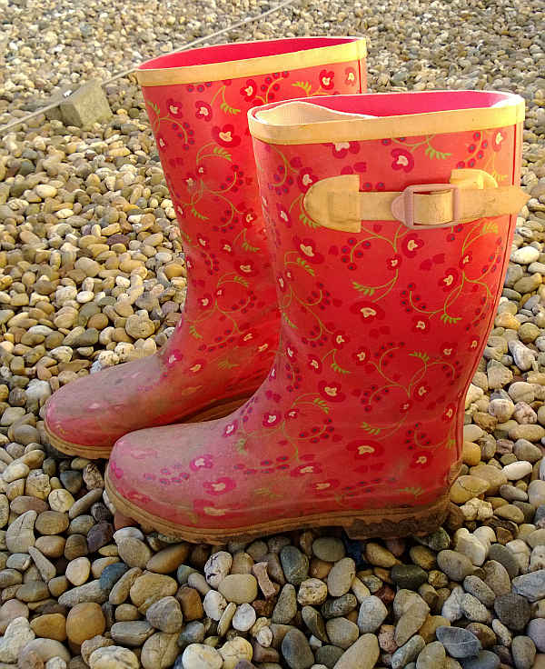 Alte, ausgediente Regenstiefel werden für eine Begrünungsidee gesucht