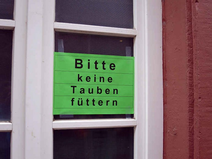In der Kunigundenstraße haben Anwohner Hinweisschilder aufgehängt