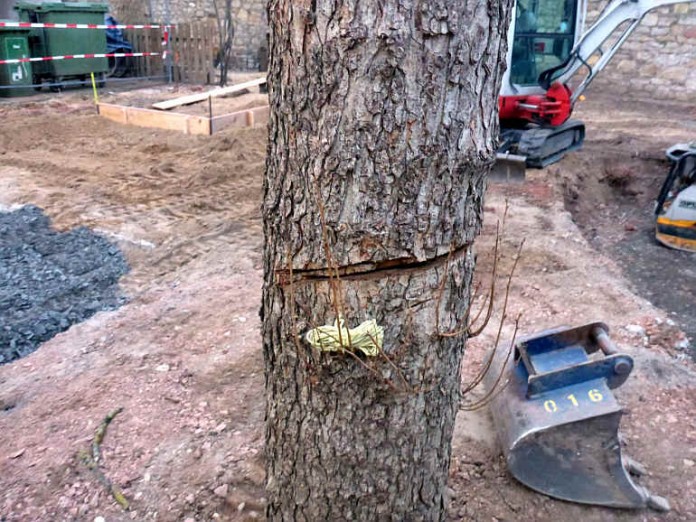 Der Baum wurde mit einer Säge stark beschädigt und wurde von der Feuerwehr gesichert
