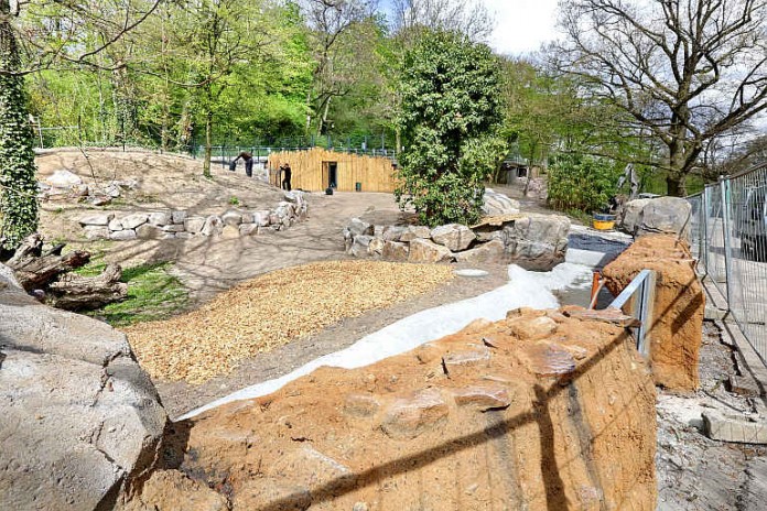 Letzte Arbeiten in der neuen Anlage für Nasenbären im Karlsruher Zoo