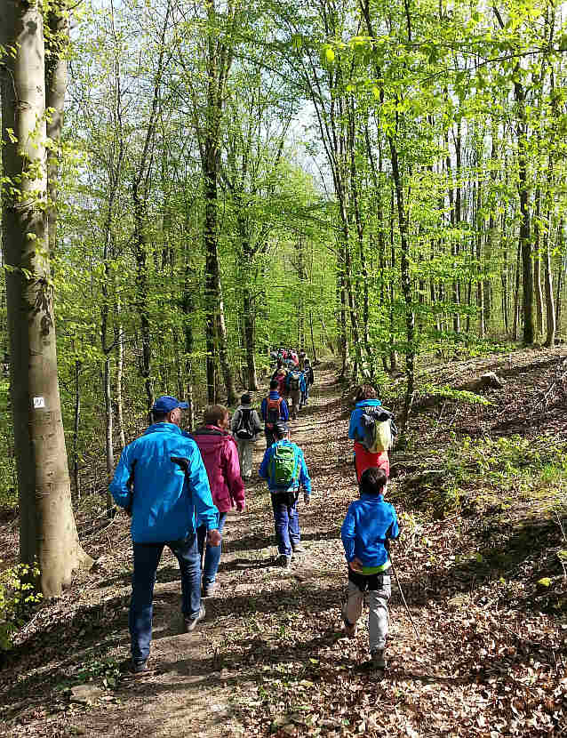 Teilnehmer der Eröffnungswanderung zwischen Bad Rappenau und Gundelsheim