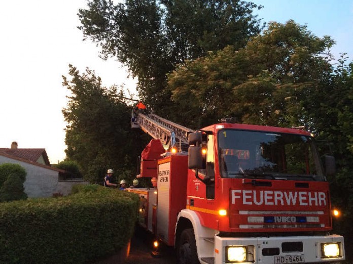 Die Feuerwehr entfernte einen großen Ast