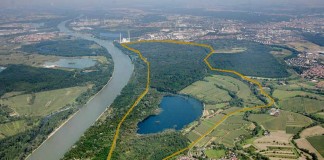Retentionsraum Bellenkopf/Rappenwört (Foto: Regierungspräsidium Karlsruhe)