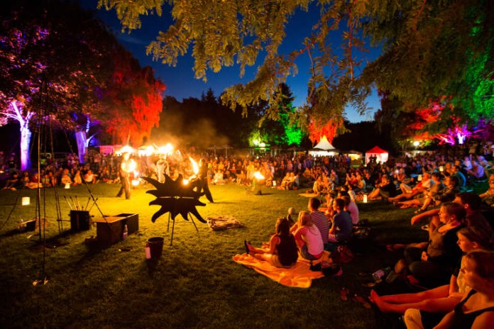 Von Donnerstag, den 02.07., bis Sonntag, den 05.07.15, findet das wundervolle „Birkengarten Festival“ zum dritten Mal auf der Freizeitanlage Birkengarten in Lorsch statt