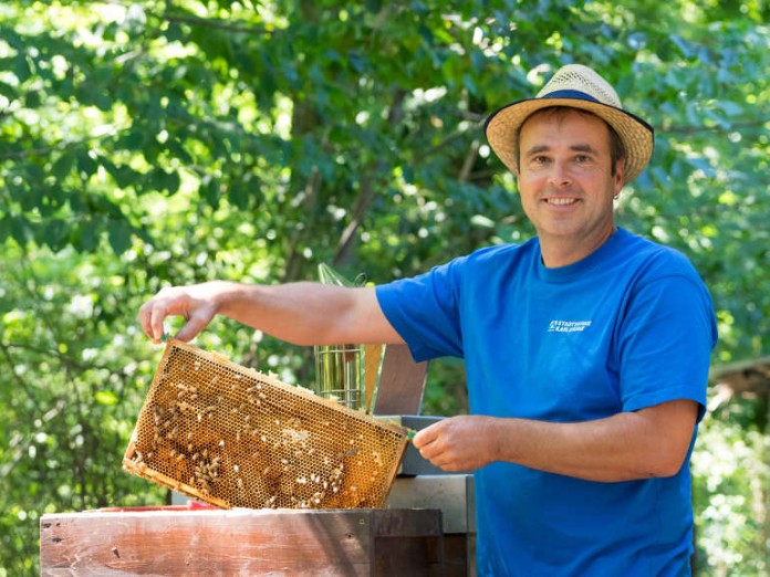 Hobby-Imker David Schanno kümmert sich um die Stadtwerke-Bienen