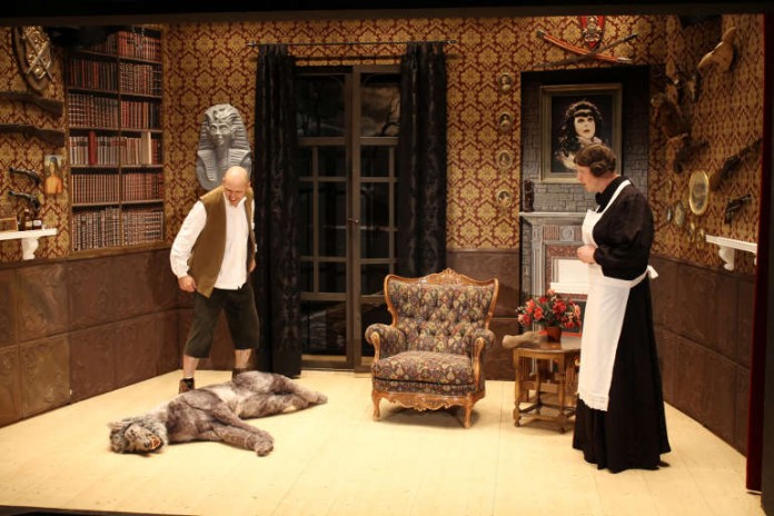 Szene aus „Das Geheimnis der Irma Vep“ des Ensembles der Freilichtbühne Mannheim e.V., Preisträger in der Kategorie Innenraumtheater
