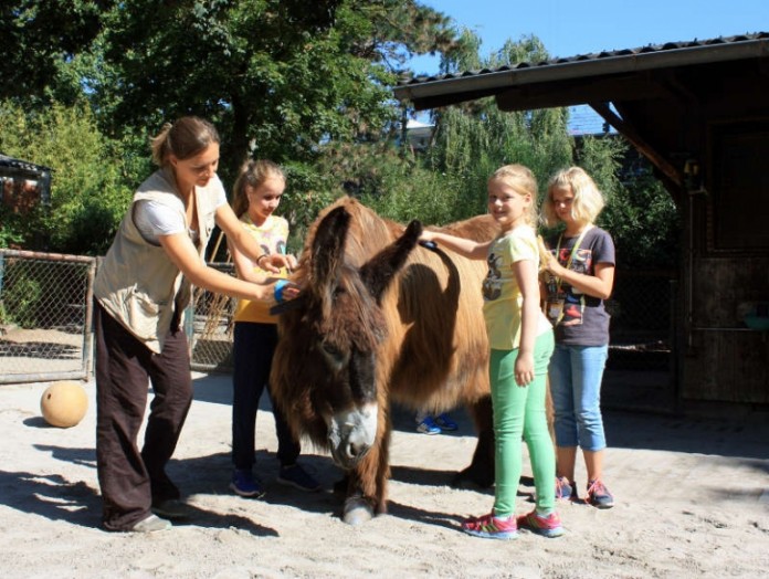 Begegnung mit einem Esel
