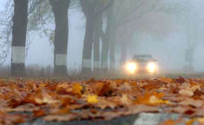 Laub auf den Straßen und Nebel - spätestens jetzt sollten Autofahrer vom Gas gehen und einen Gang zurückschalten