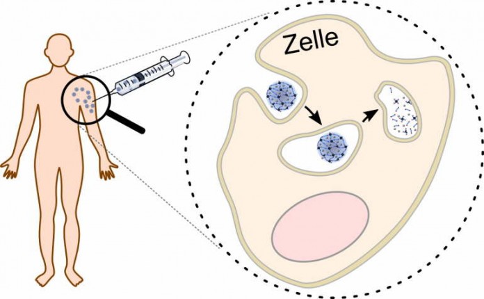 Die Proteine für die spezifische Immuntherapie werden in abbaubare Nanotransporter verpackt. Durch die Verpackung der Proteine in den Nanotransporter kann die Immuntherapie mit verringerten Nebenwirkungen durchgeführt werden. Innerhalb der Zelle wird der
