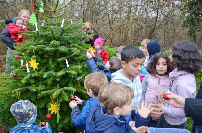 Kinder aus Ingelheim und Münster-Sarmsheim schmücken gemeinsam mit Flüchtlingskindern den Weihnachtsbaum
