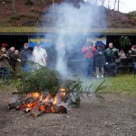 Tannenbäume wurden verbrannt
