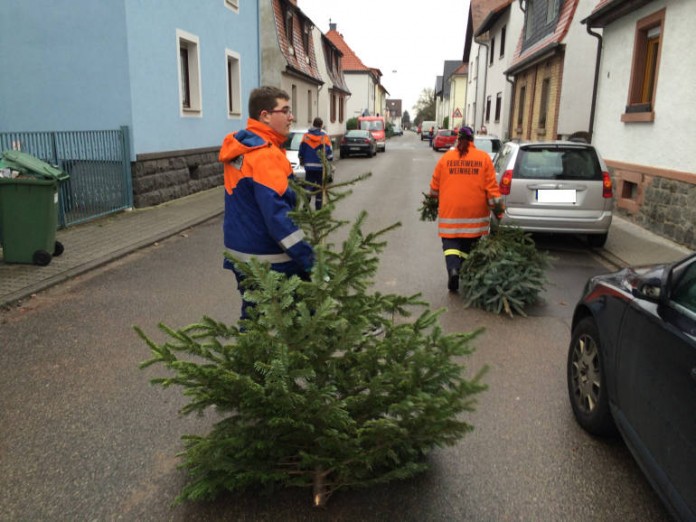 Die Jugendfeuerwehren sammeln Christbäume am 9. Januar 2016 ab 8 Uhr (Archivbild)