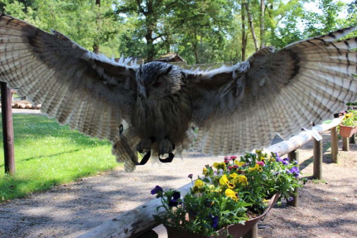 Zoo verzeichnet 2015 erneut Besucherzuwachs