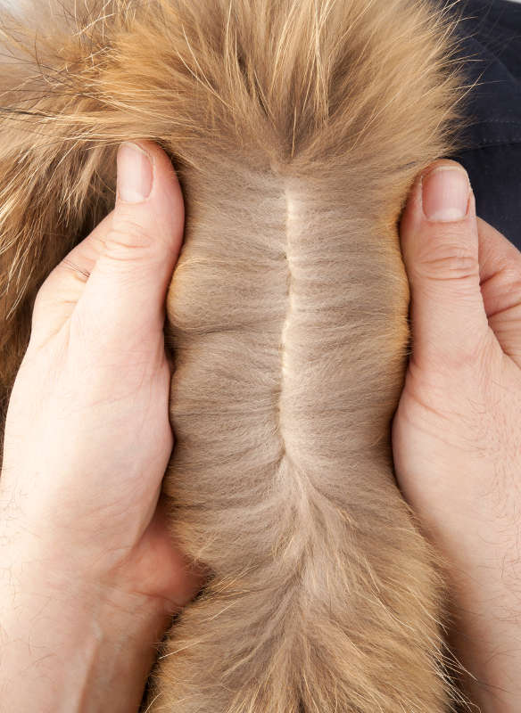 Bei echtem Pelz kommt Leder zum Vorschein