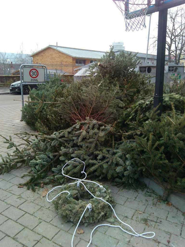 Illegale Ablagerung von Weihnachtsbäumen