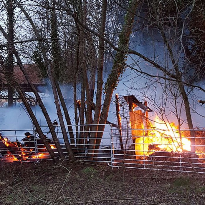 Ein Holzhaufen brannte