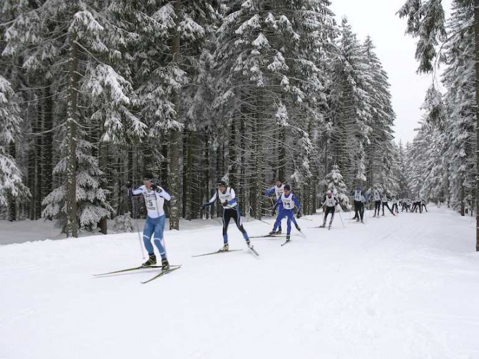 Am 28. Februar findet im Nordschwarzwald der 1. Lemming Loppet statt