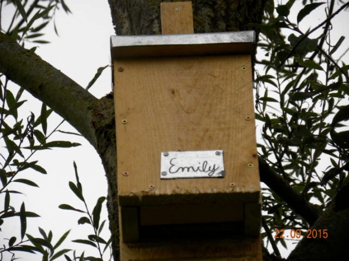Nisthilfe aus Holz - zusammengebaut von Emily aus der Klasse 3c