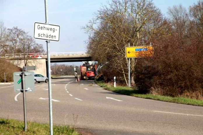 Der erste Bautrupp ist am Gelände und hat die ersten Bäume gefällt