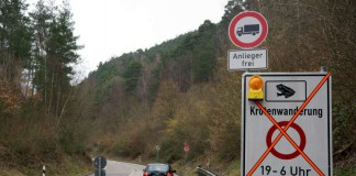 Hinweisschild auf Krötenwanderung K 16 (Foto: Holger Knecht)
