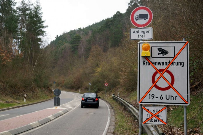 Hinweisschild auf Krötenwanderung K 16 (Foto: Holger Knecht)