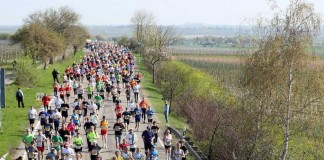 Marathon Deutsche Weinstraße (Archivbild, Quelle: Kreisverwaltung Bad Dürkheim)