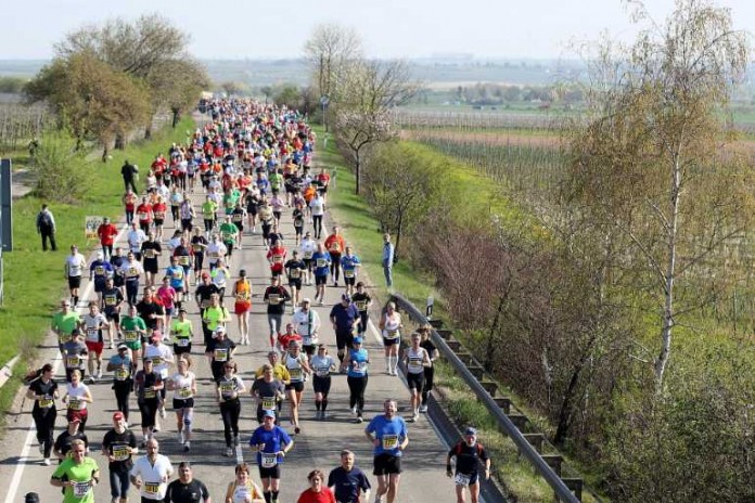 Marathon Deutsche Weinstraße (Archivbild, Quelle: Kreisverwaltung Bad Dürkheim)