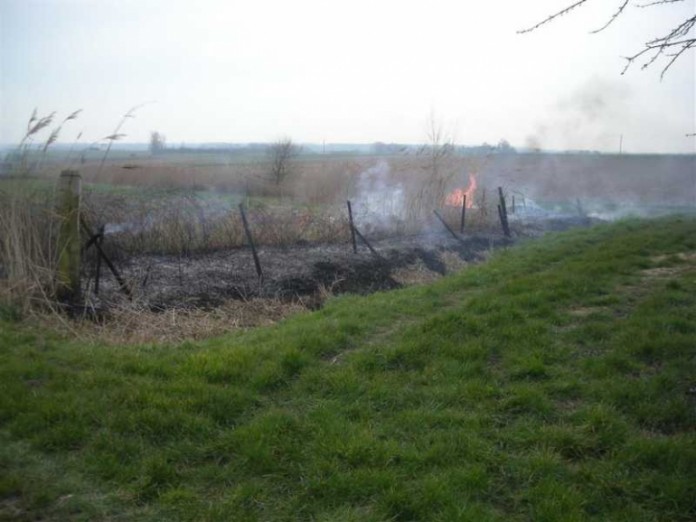 Flächenbrand zwischen Schweigen-Rechtenbach in Richtung Schweighofen