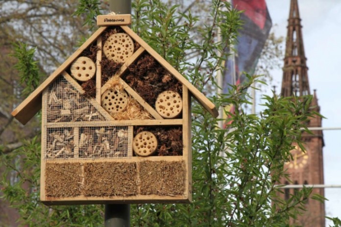Das Insektenhotel im Hack-Museumsgarten