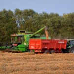 Pikdorser Stroh Ernte Getreide Landwirtschaft