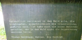 Thomas Bernhard-Text als Inschrift an einem Wanderweg in der Nähe von Gmunden (österreich)