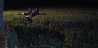 Der Fahrer verriß das Lenkrad und landete im Feld neben der Fahrbahn auf dem Dach