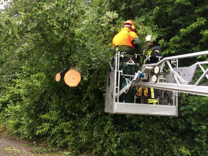 RNK Weinheim Feuerwehr Unwetter 300516