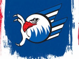 Logo Adler Mannheim